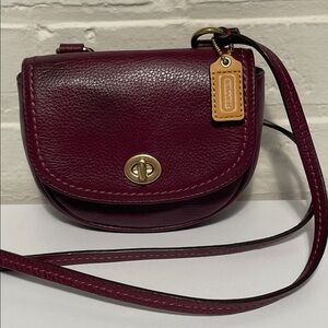 Coach Park Leather Mini Turnlock Pouch Crossbody | Burgundy